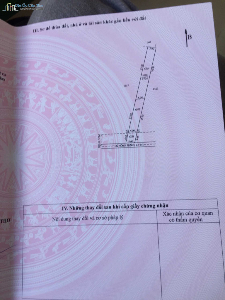 Nền thổ cư nhánh QL61C, cách trung tâm Cần Thơ 6km