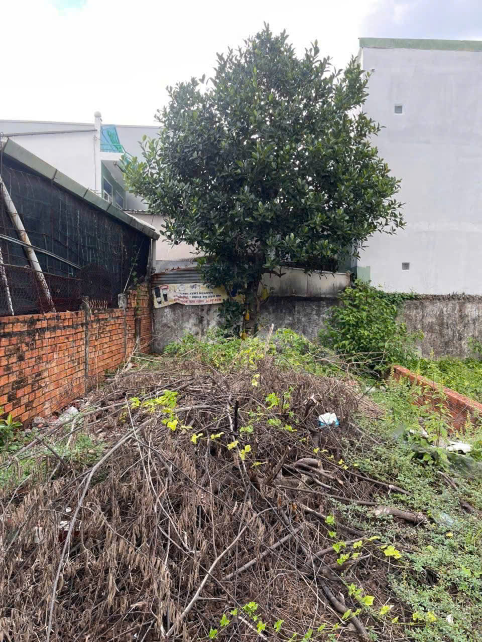 BÁN NỀN TRUNG TÂM NINH KIỀU - GIÁ 1,1 TỶ